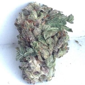 Buy Purple Kush Marijuana,Mail Order Purple Kush,Buy Purple Kush Cannabis,Buy Purple Kush Weed Online,Purple Kush For Sale Australia