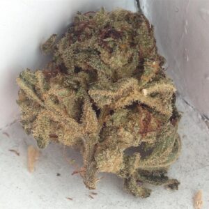Buy Strawberry Cough Online,Strawberry Cough For Sale,Buy Strawberry Cough Cannabis Strain,Buy Strawberry Cough Marijuana,Strawberry Cough Weed Strain