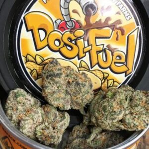 Buy Dosi Fuel Online,Mail Order Dosi Fuel,Dosi Fuel For Sale Australia,Buy Cheap weed Online,Buy Medical Weed Online Australia