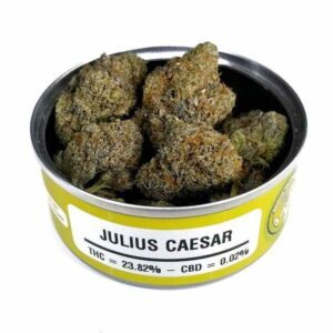 Buy Julius caesar marijuana, Julius caesar cannabis strain, Julius caesar kush strain, Julius caesar weed strain, Julius caesar buds strain