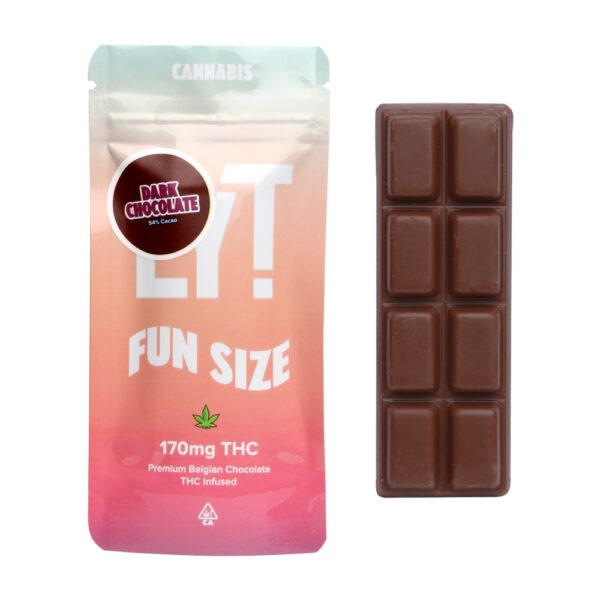 Fun Size Dark Chocolate